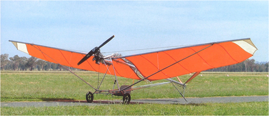 CAB Wasp Ultralight Aircraft